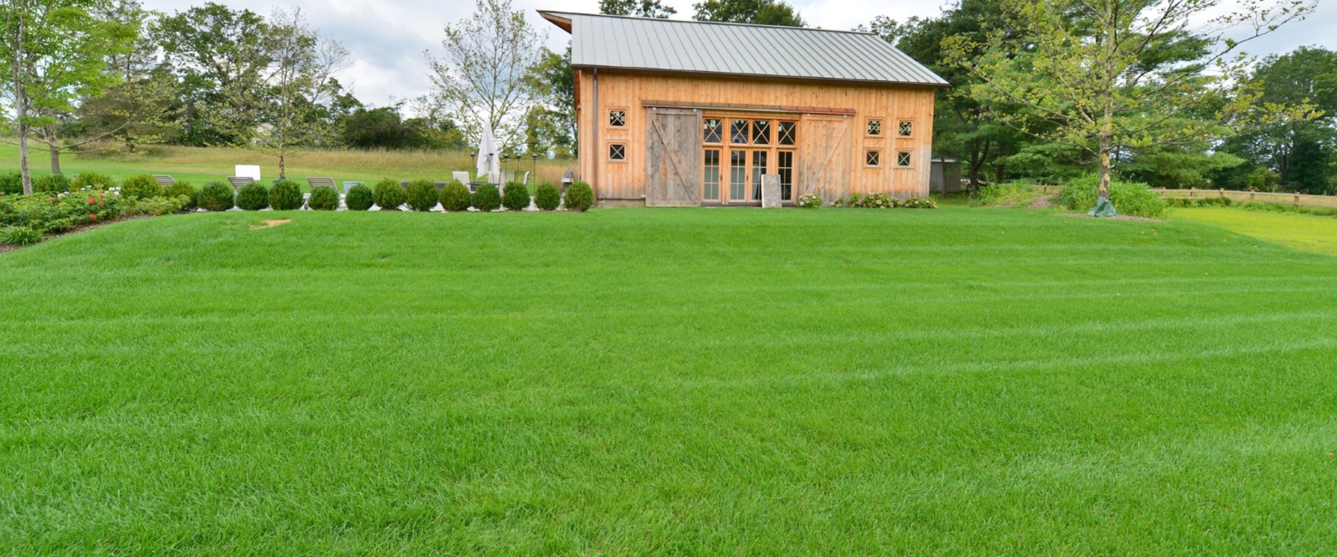 Pembroke Pines Landscape Maintenance Essentials: How Grass Seed Can Improve Your Yard