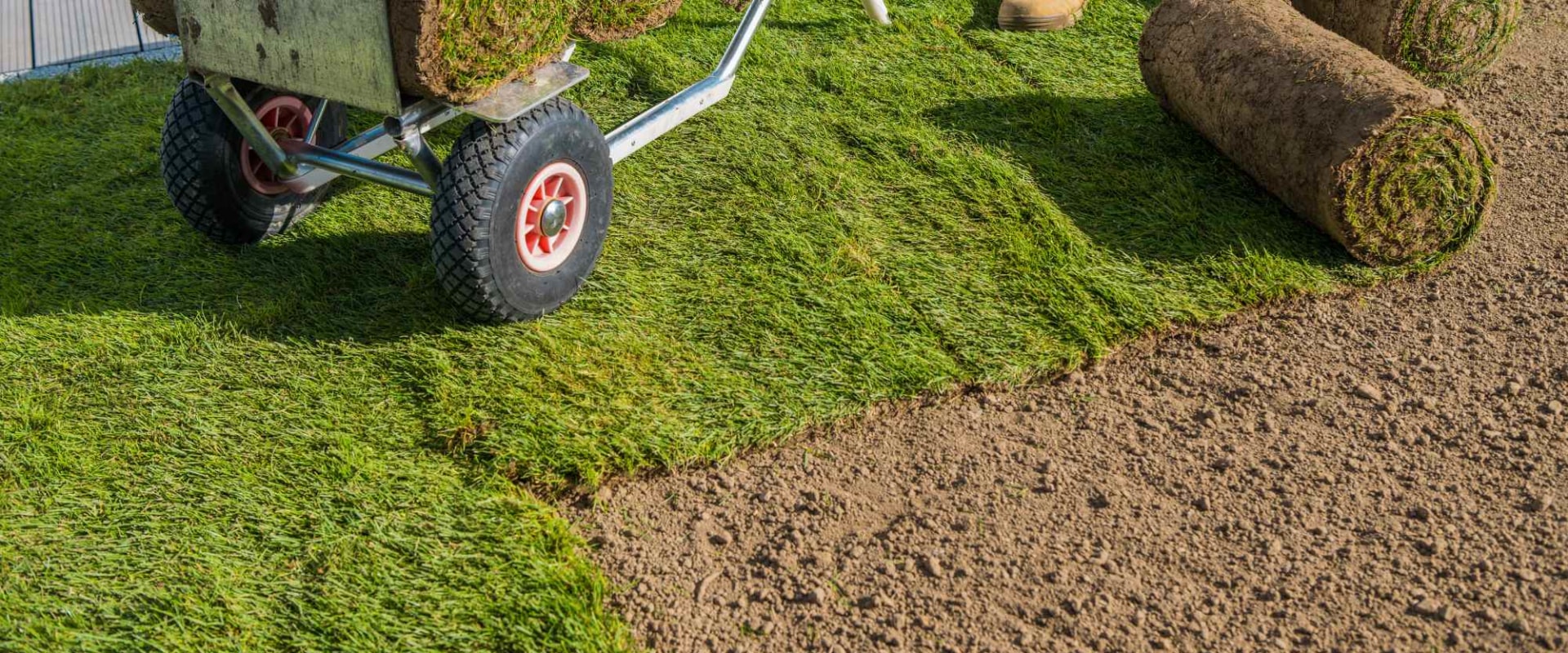 Maximising Your Investment: How Routine Landscape Maintenance Protects New Grass Seed In Manchester
