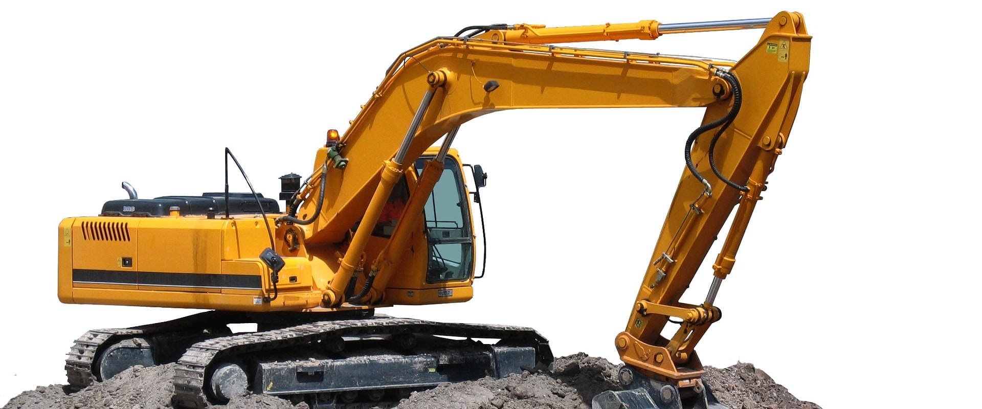 Transform Your Yard with Grass Seed and Tree Services