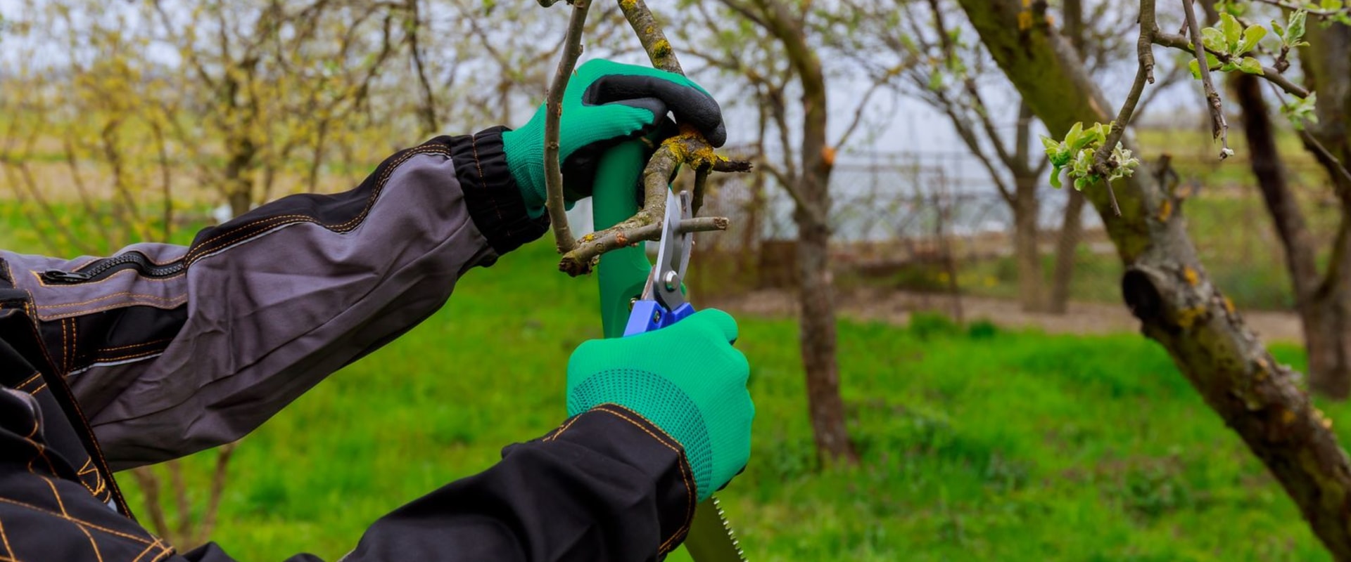 Choosing the Right Grass Seed in Warminster, PA