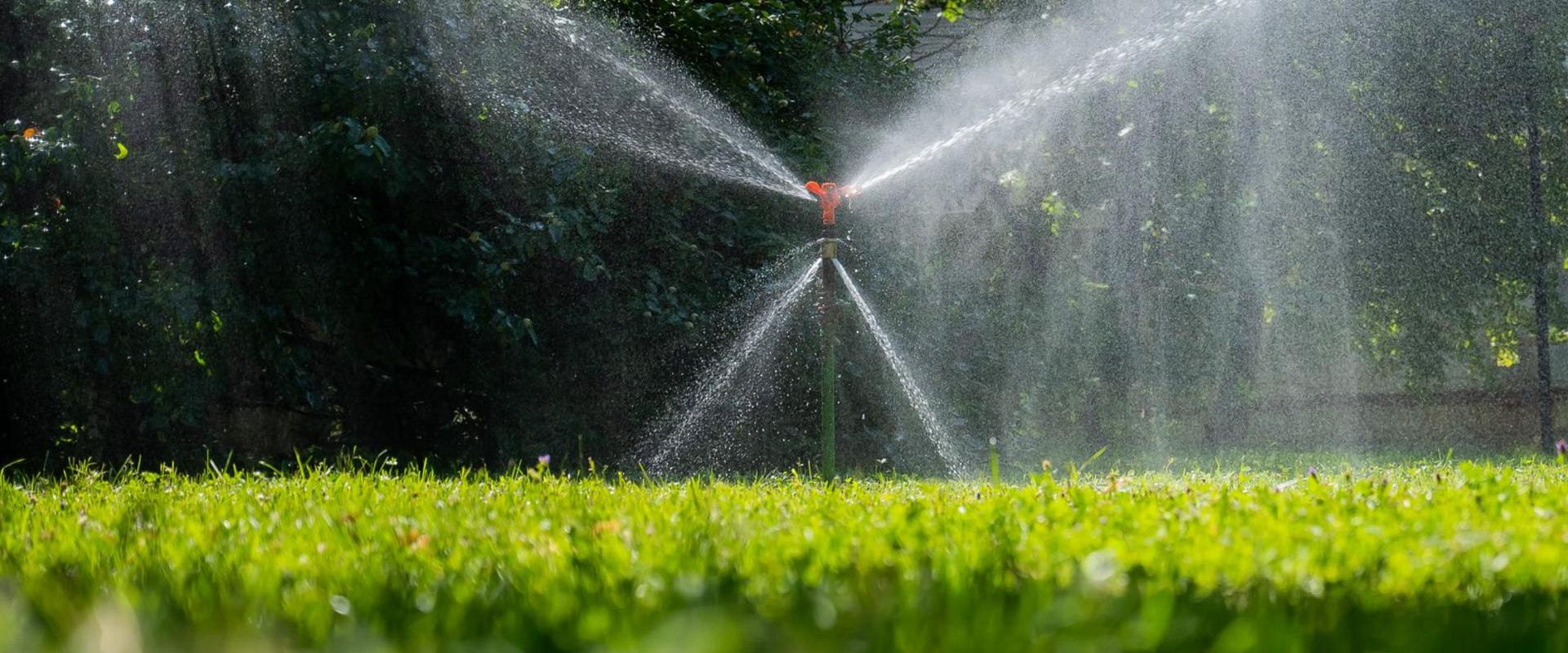 How To Choose The Best Sprinkler For Your Grass Seeds In Omaha