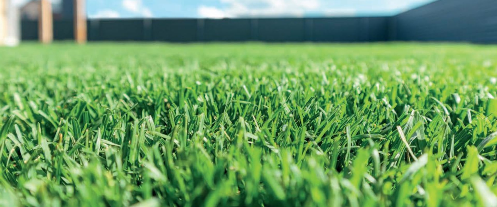 Green Dreams: Why Investing In Professional Turf In Southampton Trumps Grass Seeds