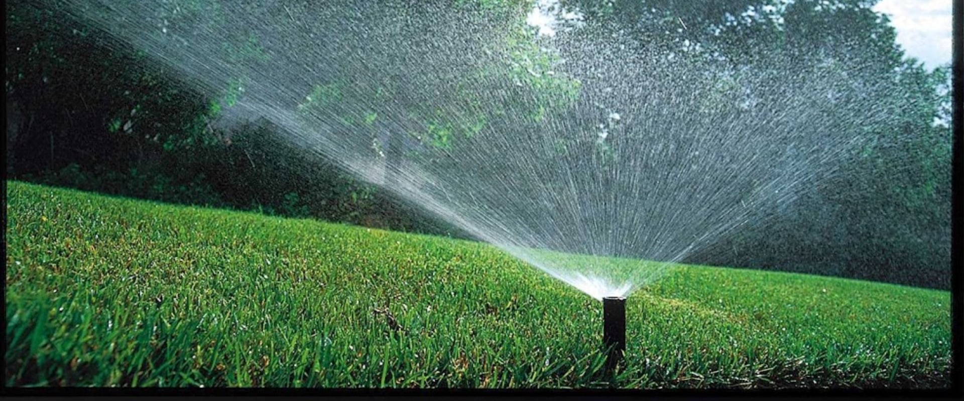 How To Keep A Healthy Lawn In Omaha: The Role Of Grass Seed And Sprinkler System Repair