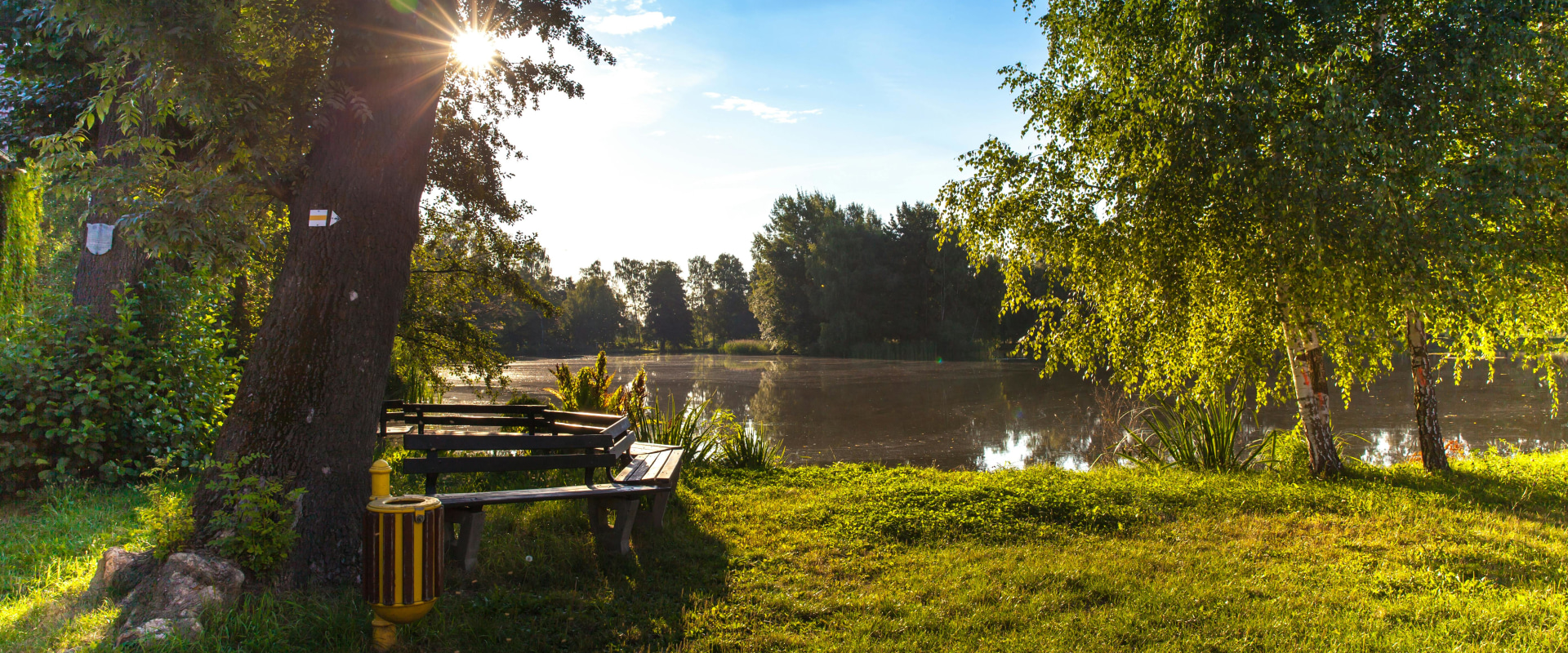 Prepare Your Yard: Emergency Tree Removal and Grass Seeding in Virginia Beach