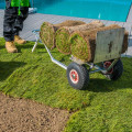 Maximising Your Investment: How Routine Landscape Maintenance Protects New Grass Seed In Manchester