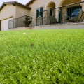 Ditch The Seeds: Why Artificial Grass Reigns Supreme In Scottsdale