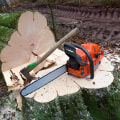 How Grass Seed Can Complete Your Lawn Makeover After Tree Removal In Kalamazoo, MI