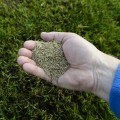 Maximizing Your Lawn's Health: How Irrigation Winterization And Grass Seeding Go Hand In Hand In Northern Virginia