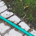 Will grass seed grow if not covered?