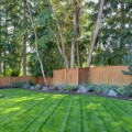 What lawn grass grows the best in shade and not sun?