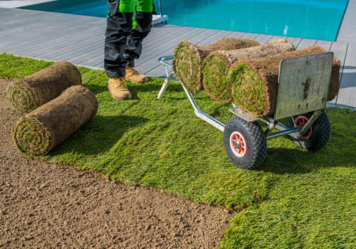 Maximising Your Investment: How Routine Landscape Maintenance Protects New Grass Seed In Manchester