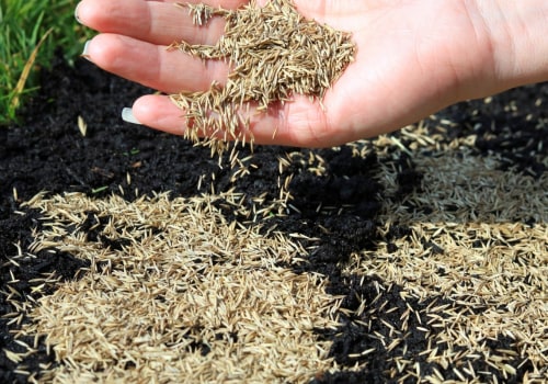 How are grass seeds planted?