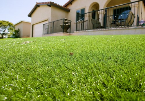 Ditch The Seeds: Why Artificial Grass Reigns Supreme In Scottsdale