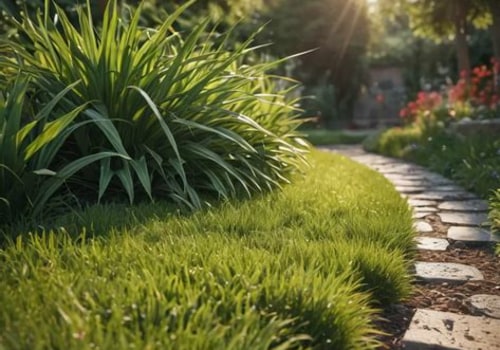 The Hidden Challenges of Using Grass Seed on Sloped Residential Landscapes