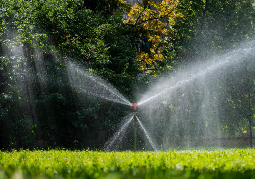 How To Choose The Best Sprinkler For Your Grass Seeds In Omaha