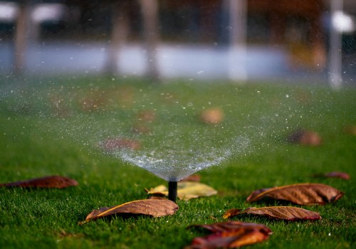 Maximizing Lawn Health in Colleyville, TX: The Role of Grass Seed and Expert Irrigation Services