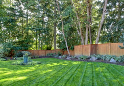 What lawn grass grows the best in shade and not sun?
